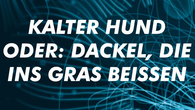 Kalter Hund oder: Dackel, die ins Gras beißen