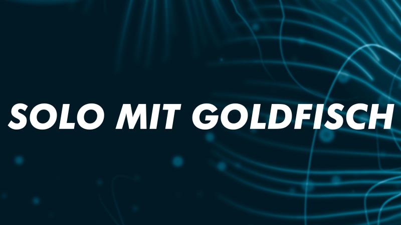 Solo mit Goldfisch